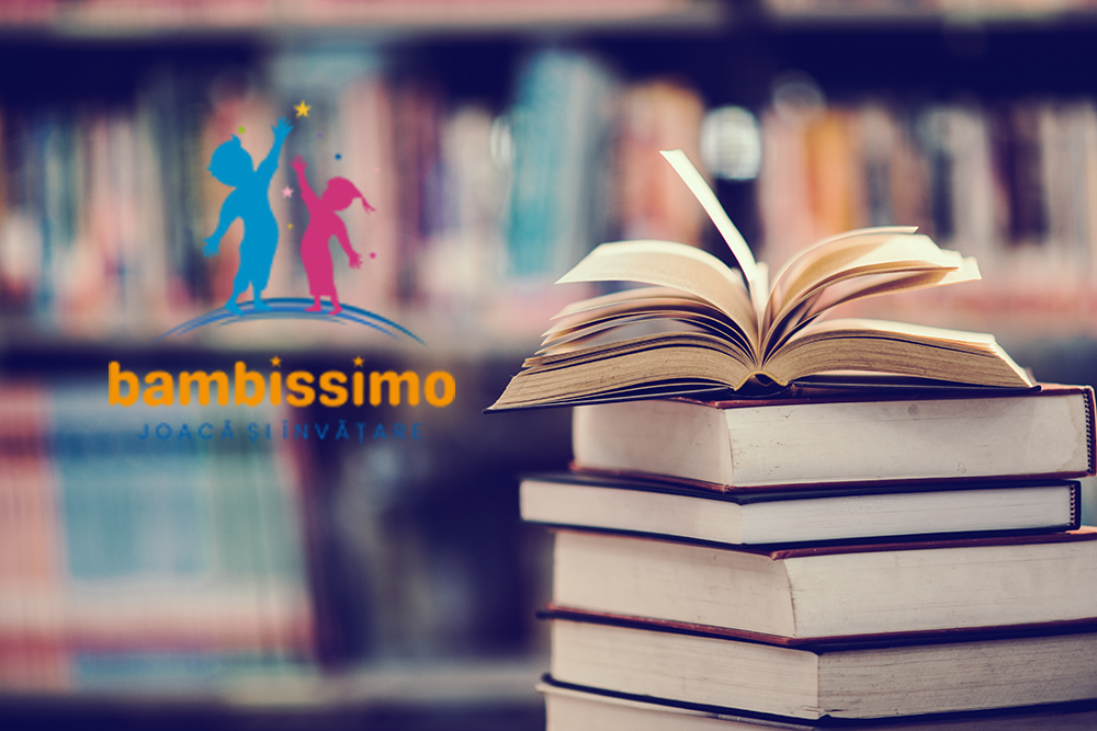 centru educational sector 6